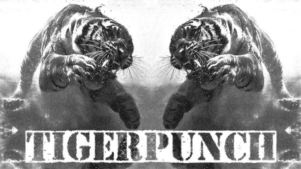 Band of the Day: Tigerpunch